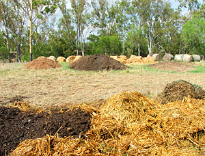 compost composting, building a compost pile