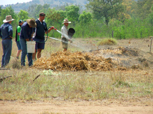 composting pile, static pile, making compost