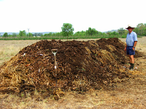 composting, compost pile