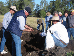 Compost pile Eric Glasser