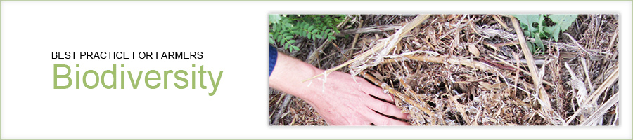 biodiversity farmers