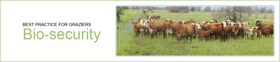 Best practice for graziers - biosecurity