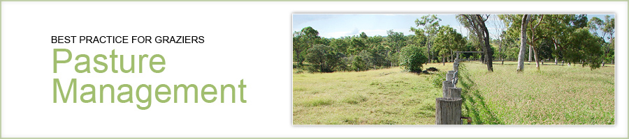 Best practice for graziers - pasture management