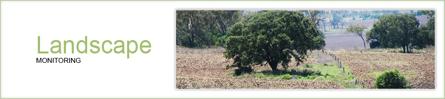 Landscape monitoring