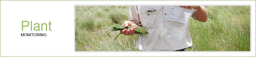 Plant monitoring